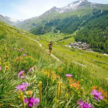 Apartamento Chamois Blanc 2 Centre Mont Blanc