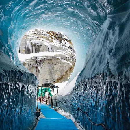 Chamois Blanc 2 Centre Mont Blanc Chamonix