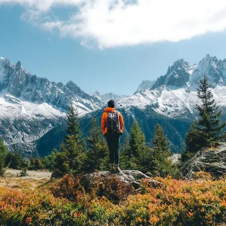 Appartement Chamois Blanc 2 Centre Mont Blanc *