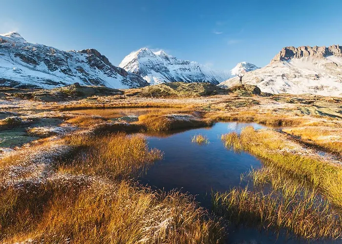 Chamois Blanc 2 * شامونكس