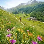 Apartment Chamois Blanc 2