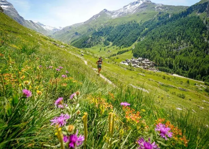 Apartment Chamois Blanc 2 Centre Mont Blanc